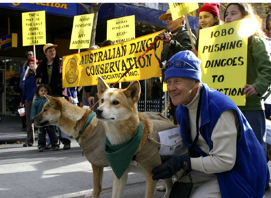 June Orford and other Victorian Dingo Society members and dingoes at the World Environment Day Rally in Melbourne in 2004. Picture National Library of Australia