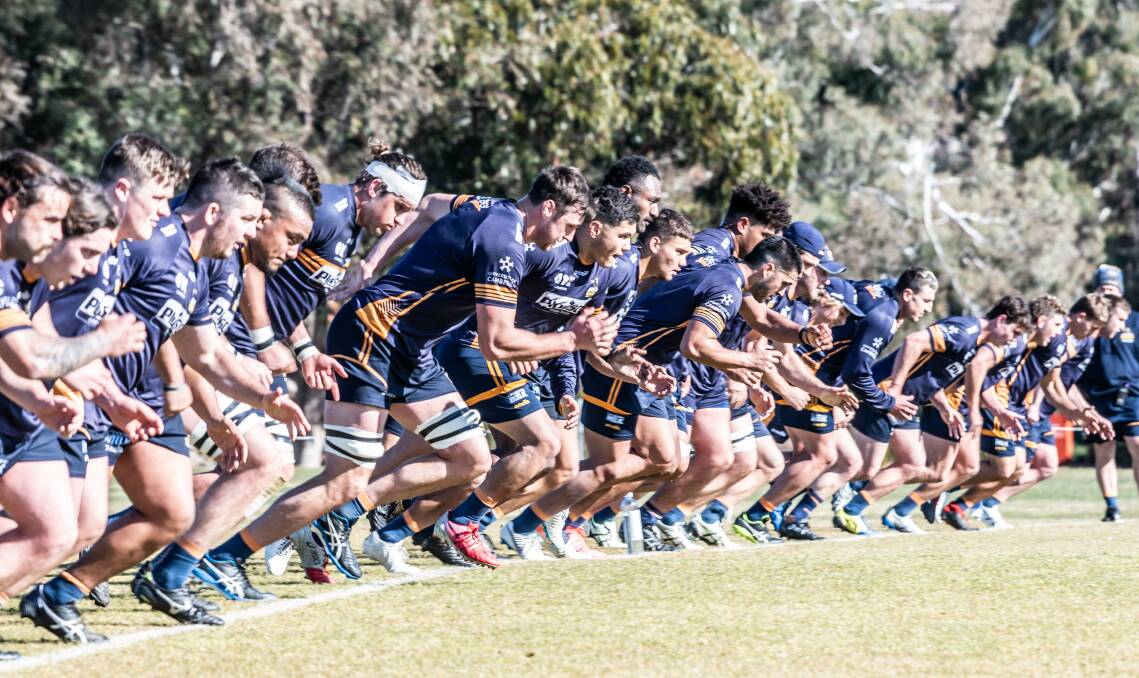 The Brumbies have been the best Australian team over the past two years. Picture: Karleen Minney