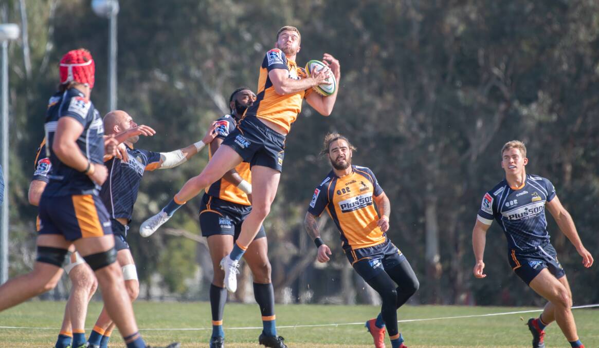 Mack Hansen, centre, could be a selection option if Tom Banks is ruled out next week. Picture: Karleen Minney