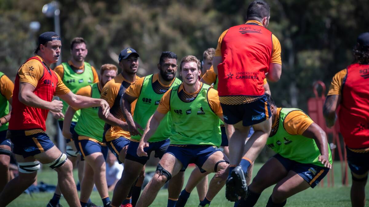 Rory Scott, centre, will get the first opportunity in the Brumbies' No. 7 jersey. Picture: Karleen Minney