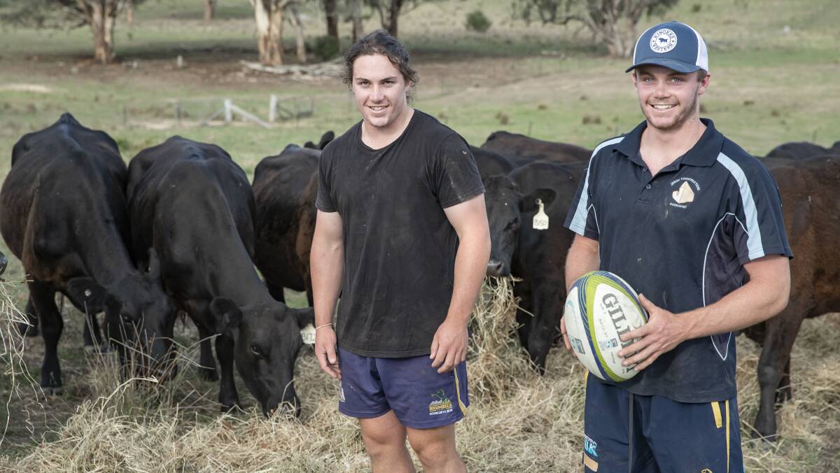 Lachlan Lonergan, left, and brother Ryan at their Williamsdale farm. Picture: Sitthixay Ditthavong