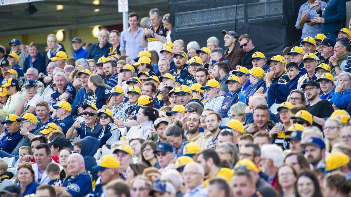 The Brumbies are hoping fans start the Canberra Day long weekend with a trip to Wollongong. Picture: Jamila Toderas