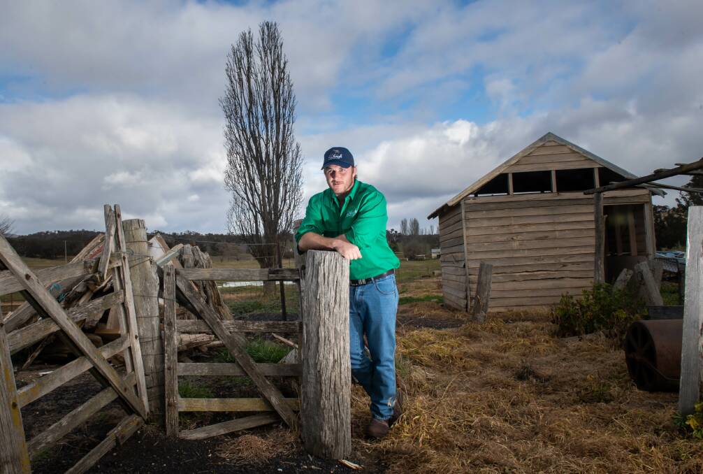 Will Miller spends two days per week working at Richard Harry's Bungendore farm. Picture: Karleen Minney