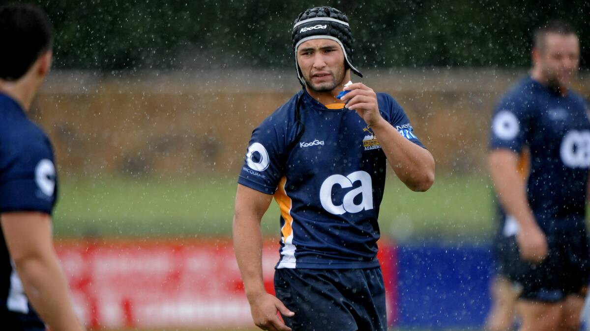 Colby Faingaa has been called into the Wallabies squad. Picture: Karleen Minney