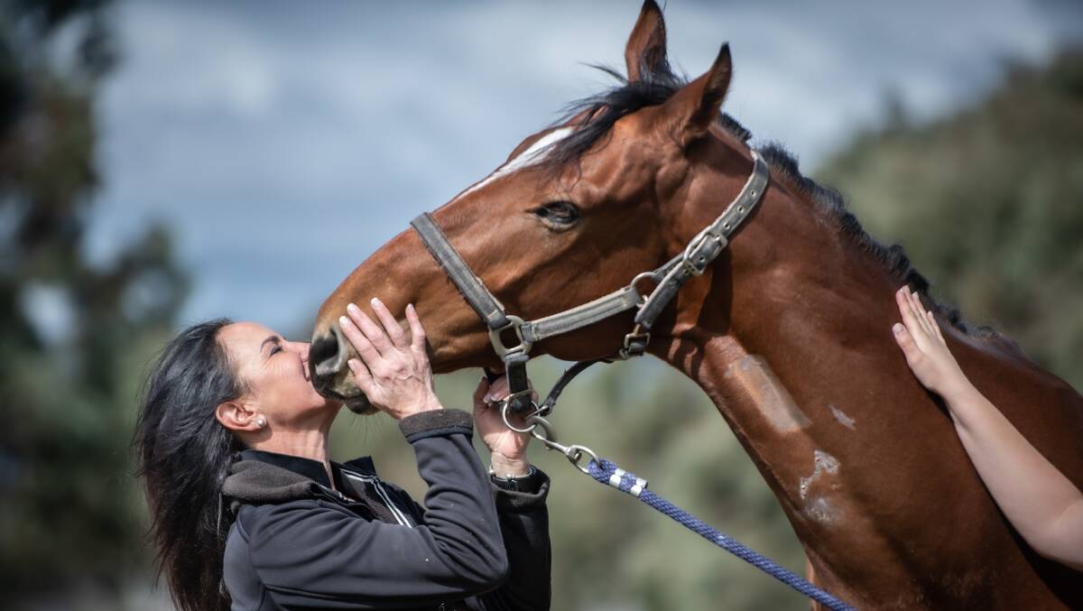 Race horse Game Cove with Wallaroo property owner Lia Notaras. Game Cove is back in the paddock after bolting from the Queanbeyan race course and dodging cars on the road. Picture by Karleen Minney