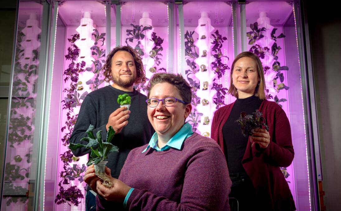 Ginninderry development team members Tyson Powell, Jessica Stewart and Tulitha King have collaborated to make vertical produce farms. Picture: Elesa Kurtz