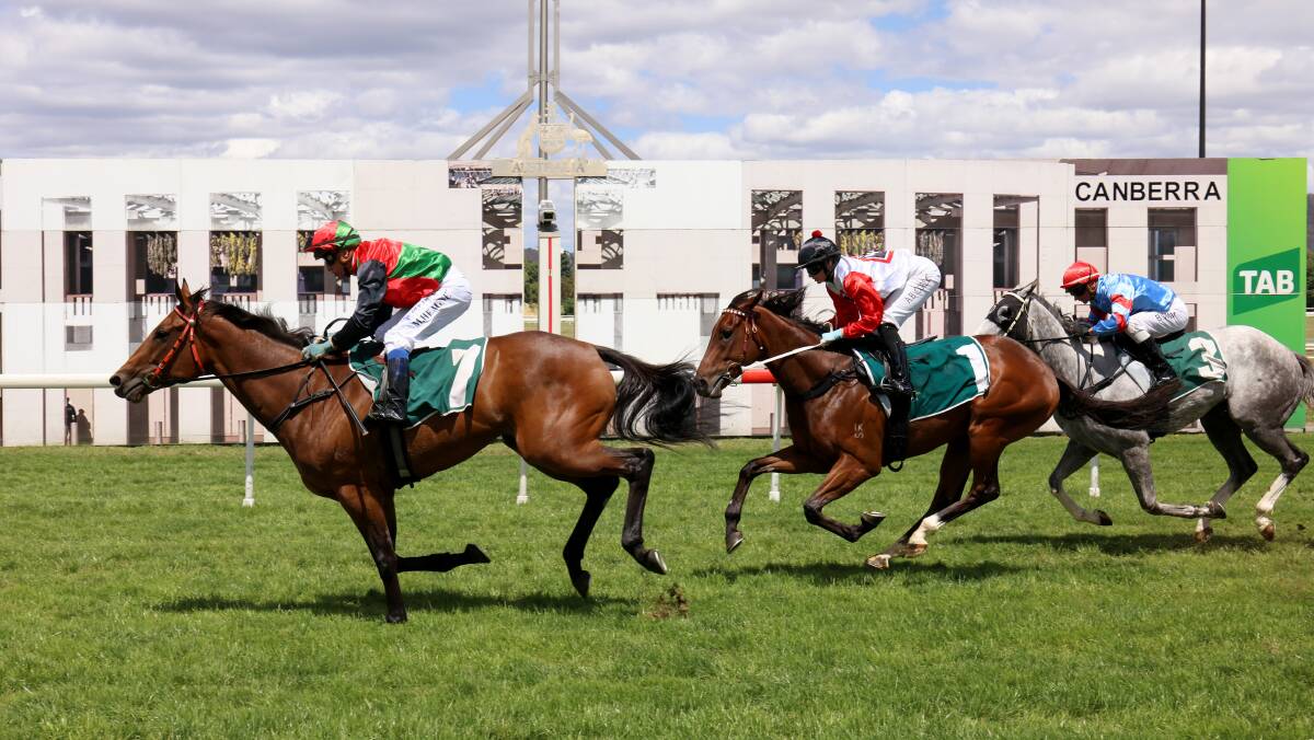 Canberra racing officials are hoping for bumper crowds this weekend. Picture by James Croucher