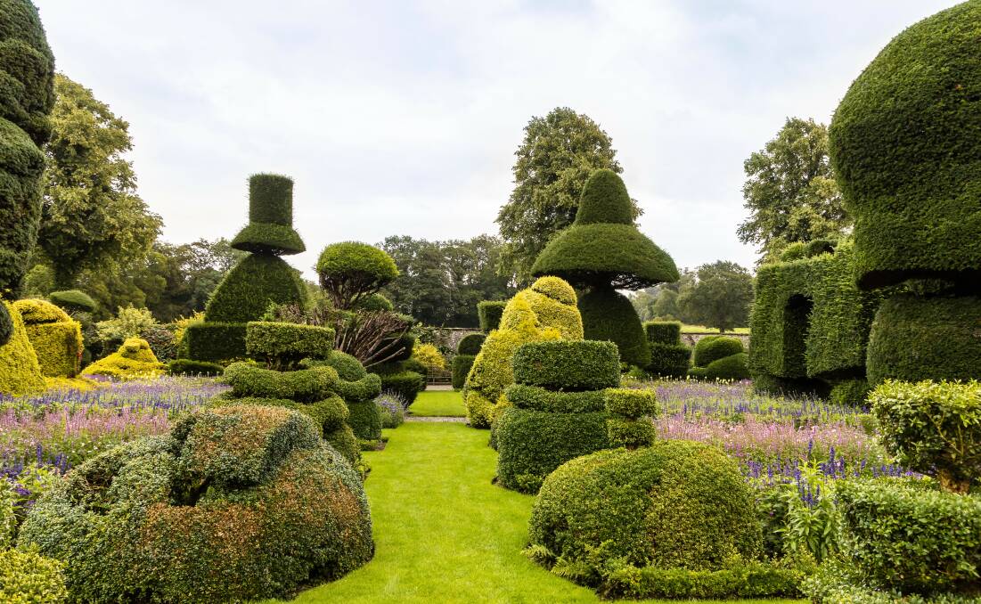 The world's oldest topiary garden, Levens Hall in England. Picture: Shutterstock. 