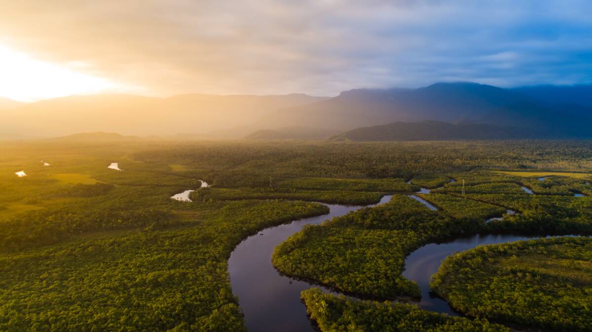 Around three-quarters of the Amazon rainforest shows signs of weakening resilience - the forest's ability to withstand disturbances. Picture: Shutterstock.