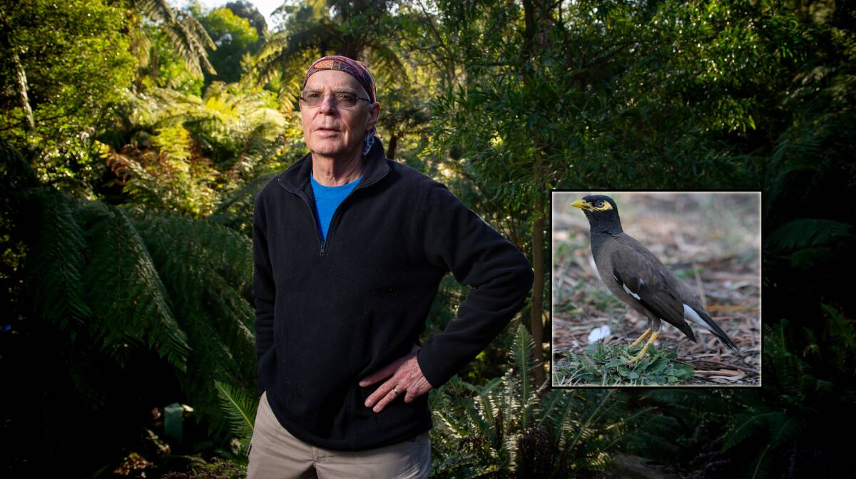 Bill Handke started the petition to control Indian mynas. Pictures by Elesa Kurtz, Richard Briggs
