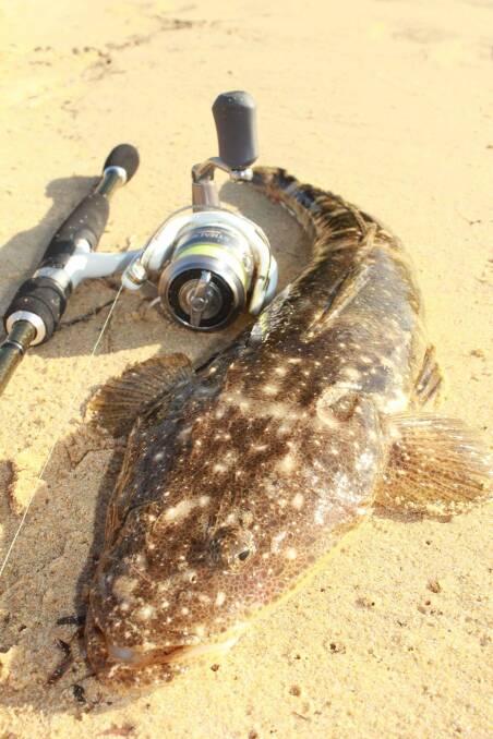  Hit the shallows for a flathead this month if the wind dies down!