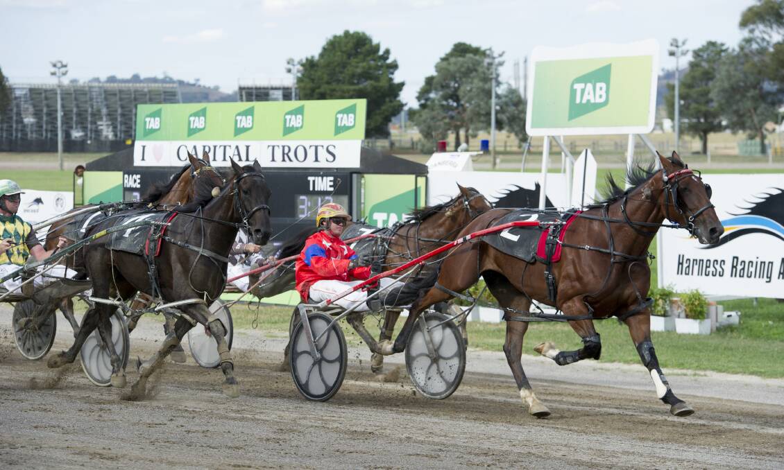 The Canberra Harness Racing Club is considering its relocation options in a bid to gain flexibility. Picture by Jay Cronan