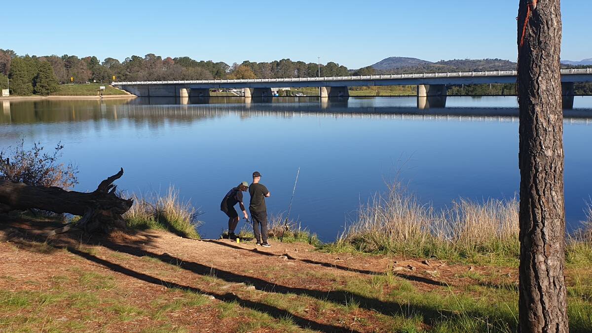 Lake Burley Griffin has been extraordinarily popular with local anglers.
