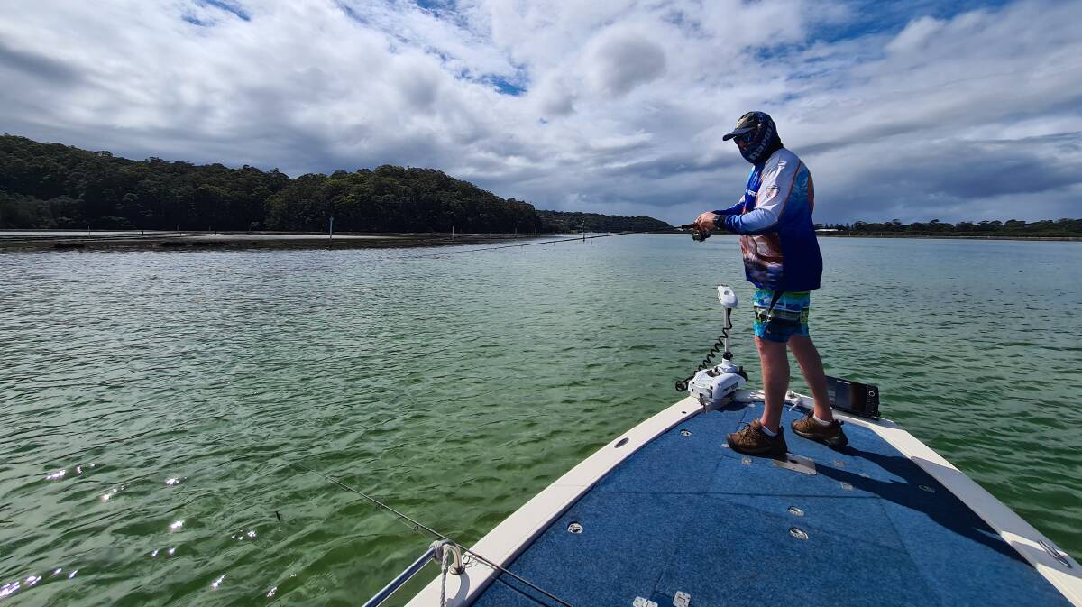 South Coast estuaries are looking picture perfect as school holidays draw closer.