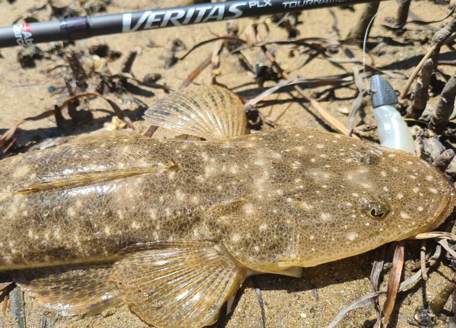 The water's dirty but species like flathead still have to feed. Note the bright lure.