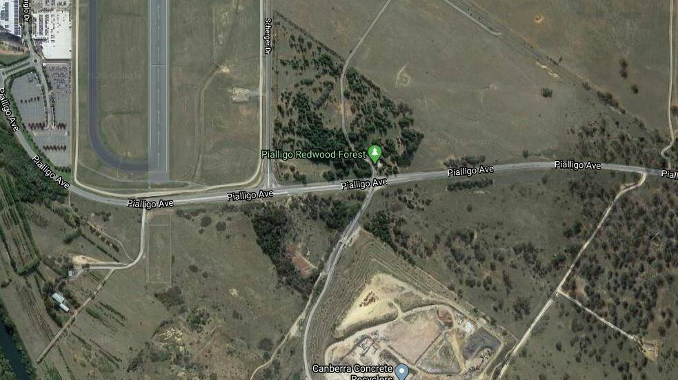 The patch of historic remnant forest near the Canberra Airport runway where the Beard fire is believed to have started.