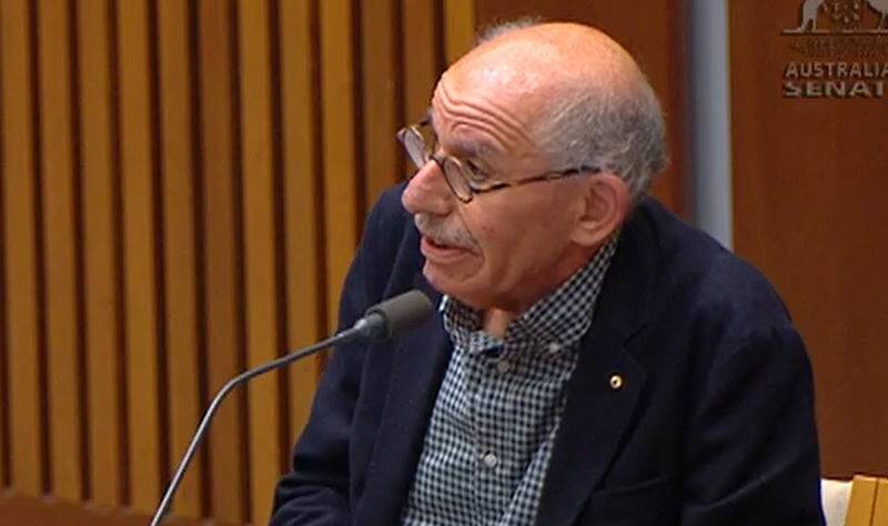 Professor Henry Ergas told a Senate inquiry that citizenship is fracturing without compulsory military service. Picture: Parliament House