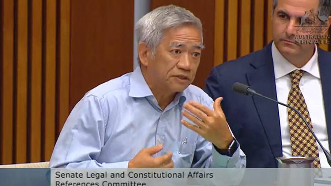 Professor Kam Louie, giving evidence in Canberra on Friday where he said the Chinese disapora was frustrated at Australia's unwelcoming approach.
