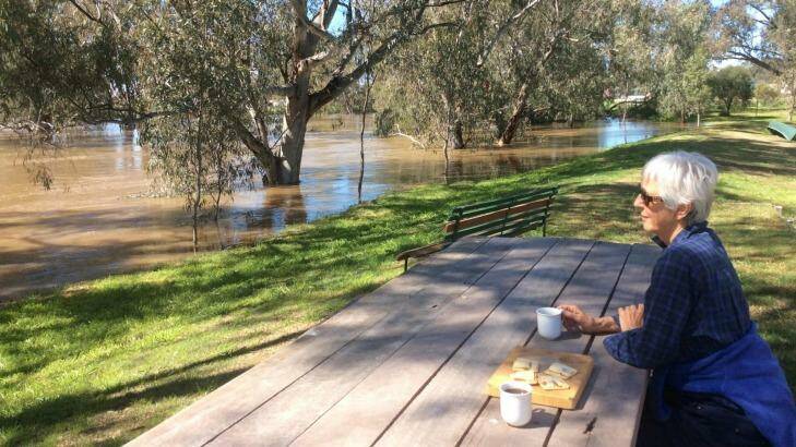 Sally Perry looks at the floodwaters from her garden in Forbes, in 2016. Photo: Pip Perry