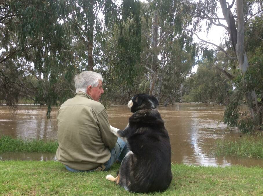 Pip Perry and dog Mally watch the rising flood waters in Forbes. Picture: Sally Perry