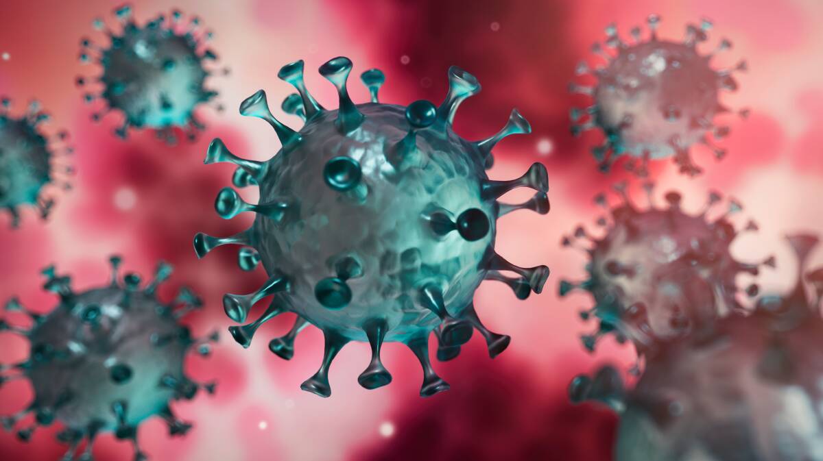 Practical steps in the face of coronavirus