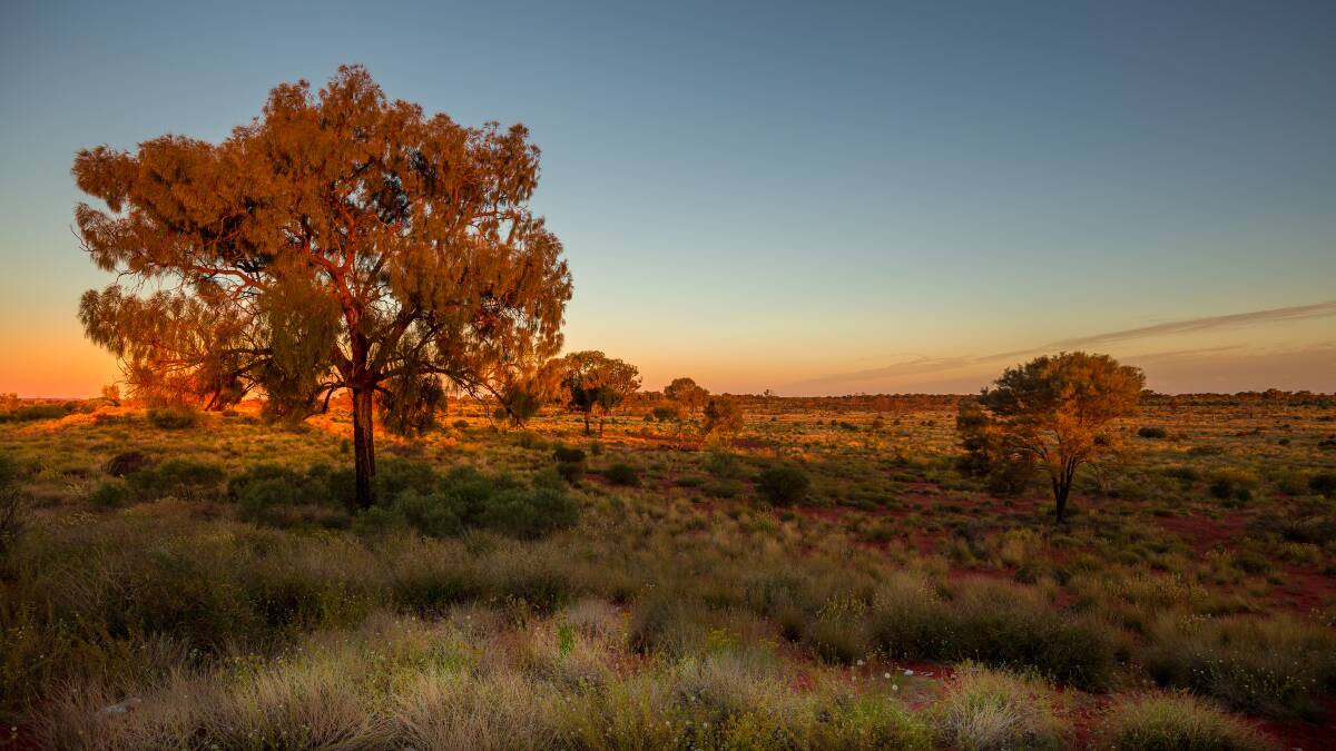 A Landcare-led recovery is taking place across Australia