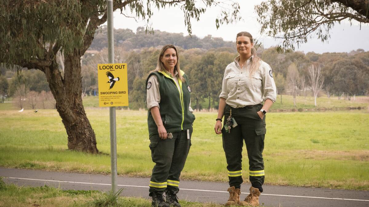 ACT urban wildlife ranger Sharon Woods and Hazel Bennett are warning the public that its Magpie swooping season again. Picture by Keegan Carroll.