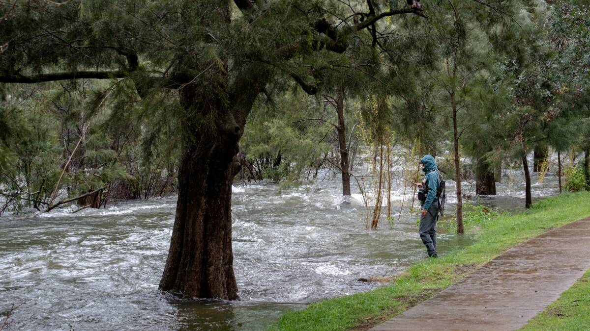 Fly fisherman, Ben Carden of Wollongong fishing in Cotter River as water flows over the Cotter Dam and into the Cotter River. Picture by Elesa Kurtz
