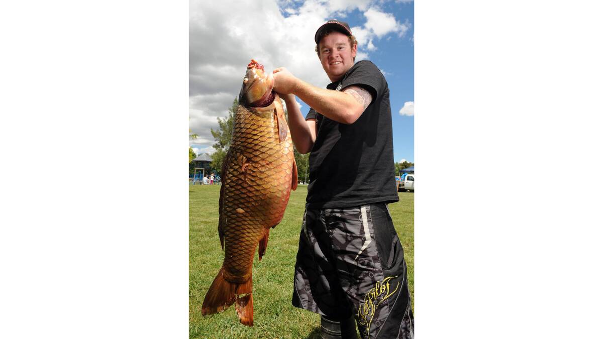 One of the biggest carp ever caught in the region was this 14kg monster by Jason Tener, inn Lake Tuggeranong in 2011. Picture by Gary Schafer 