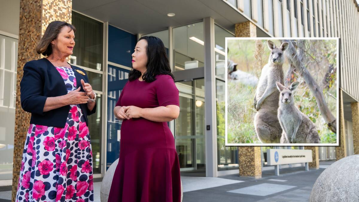 The Canberra Liberals' Nicole Lawder, left, and Elizabeth Lee, who will take a kangaroo cull moratorium to the 2024 election. Pictures by Karleen Minney