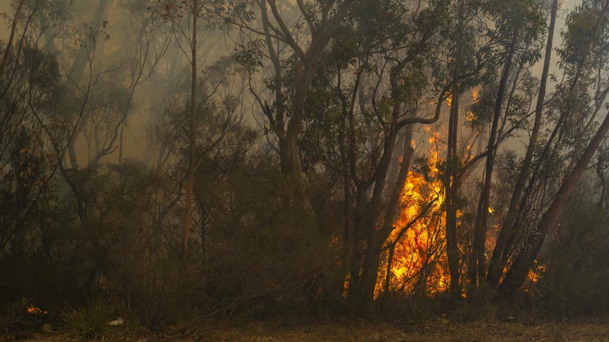 The next bushfire season could be less than four months away.Picture: Dion Georgopoulos