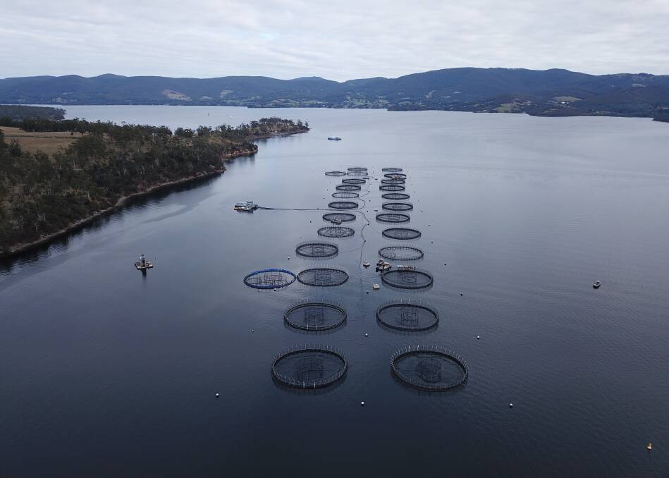 Salmon farms off the coast of Bruny Island in Tasmania. Picture Shutterstock