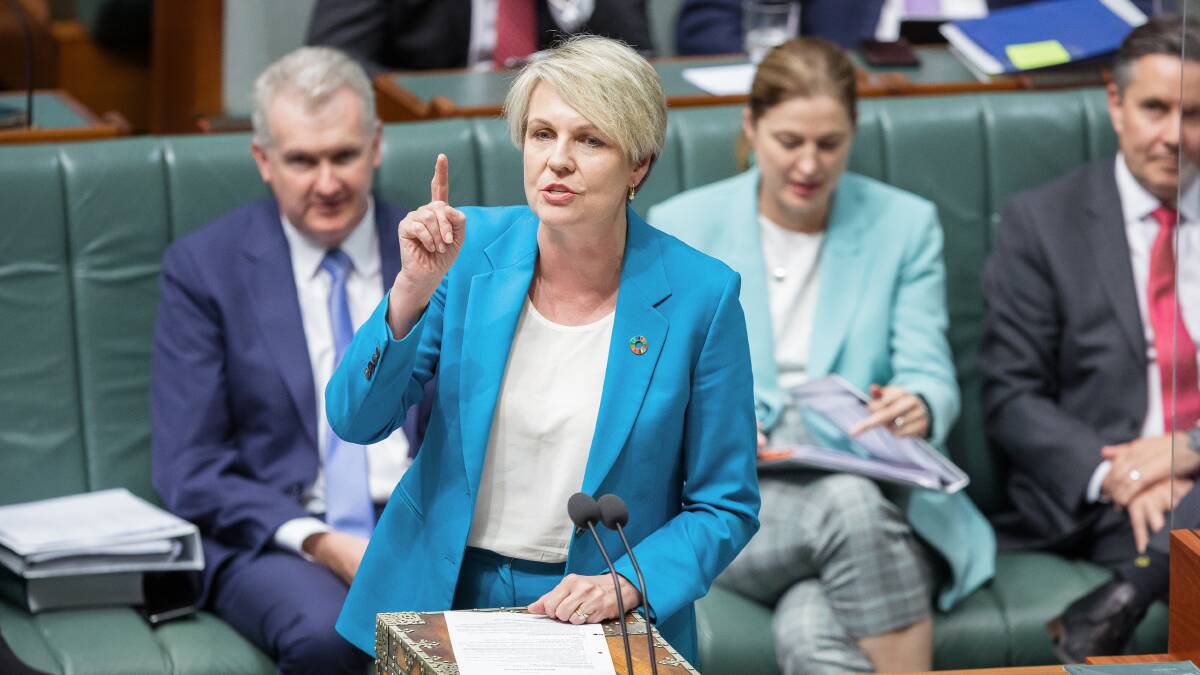 Environment Minister Tanya Plibersek. Picture by Sitthixay Ditthavong