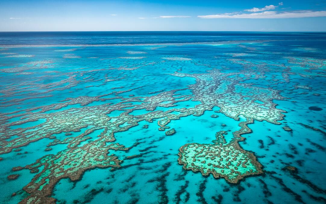 The federal government has defended its record on the Great Barrier Reef. Picture: Shutterstock