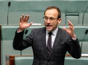 Adam Bandt and the Greens need to be careful they don't over-egg their pudding on climate. Picture: Elesa Kurtz