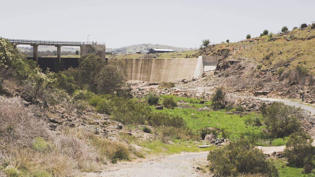 The dam where Yass collects its drinking water from. Photo: Jamila Toderas