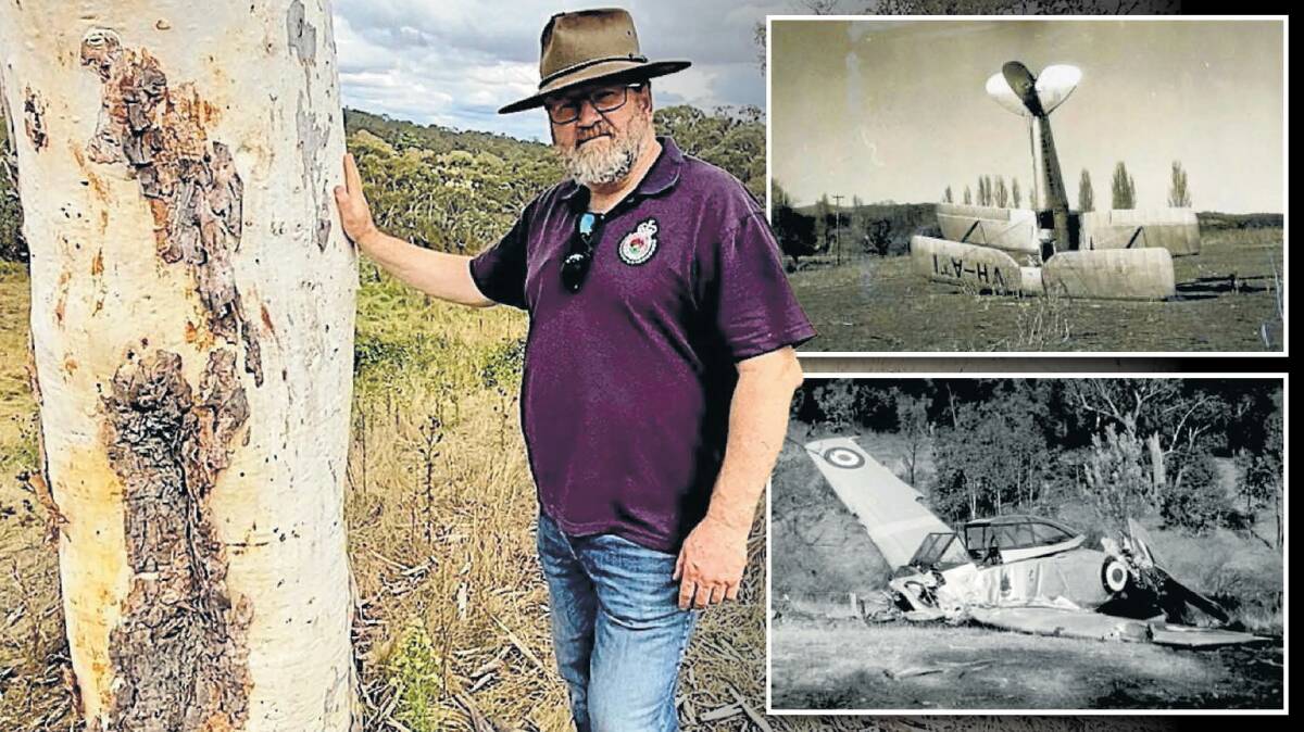 David Hanzl at the scars left on the tree which Winjeel A85-419 hit almost 70 years ago. Pictures by Tim the Yowie Man, DCA Investigation, RAAF