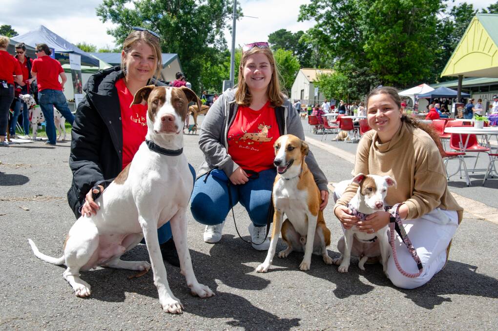 Casey King of Queanbeyan with dog Tank, Georgia Bentley of Queanbeyan with dog Mach and Chloe Mazari of Latham with dog Stella.