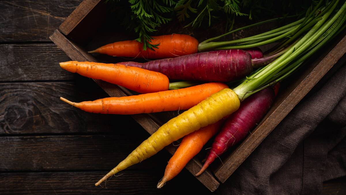 Coloured carrots are really for the gourmet who tastes with their eyes. Picture Shutterstock