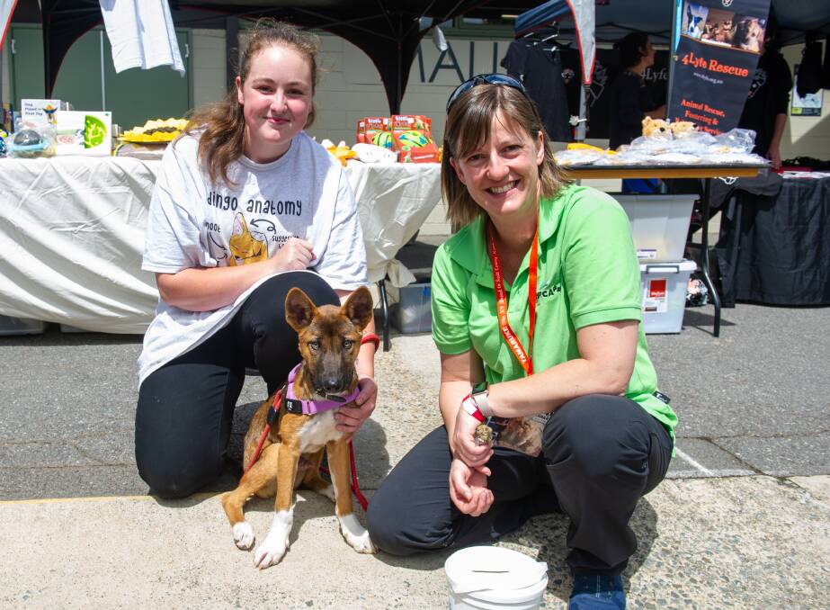 Jess Brown from Tarago and Annette Taylor of Latham with Pan the dingo.