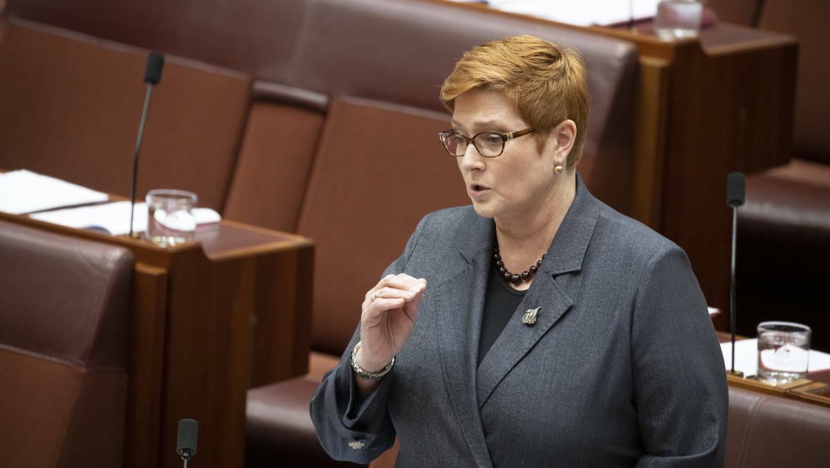 Foreign Affairs Minister Marise Payne said Australia would give $1 million each to the World Food Program and Red Cross. Picture: Sitthixay Ditthavong
