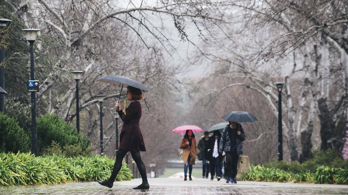 Thunderstorms and heavy rain predicted to hit Canberra again this weekend