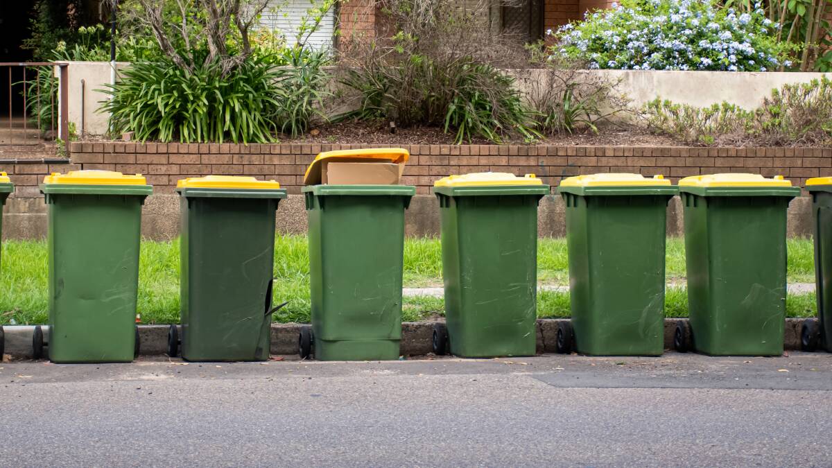 Smart or annoying? Canberrans have varying views on whether people should be rummaging through their recycyling bins. Picture: Shutterstock