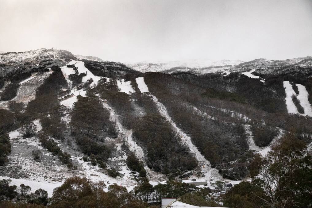 Weekend snowfalls at Thredbo. Picture: Supplied