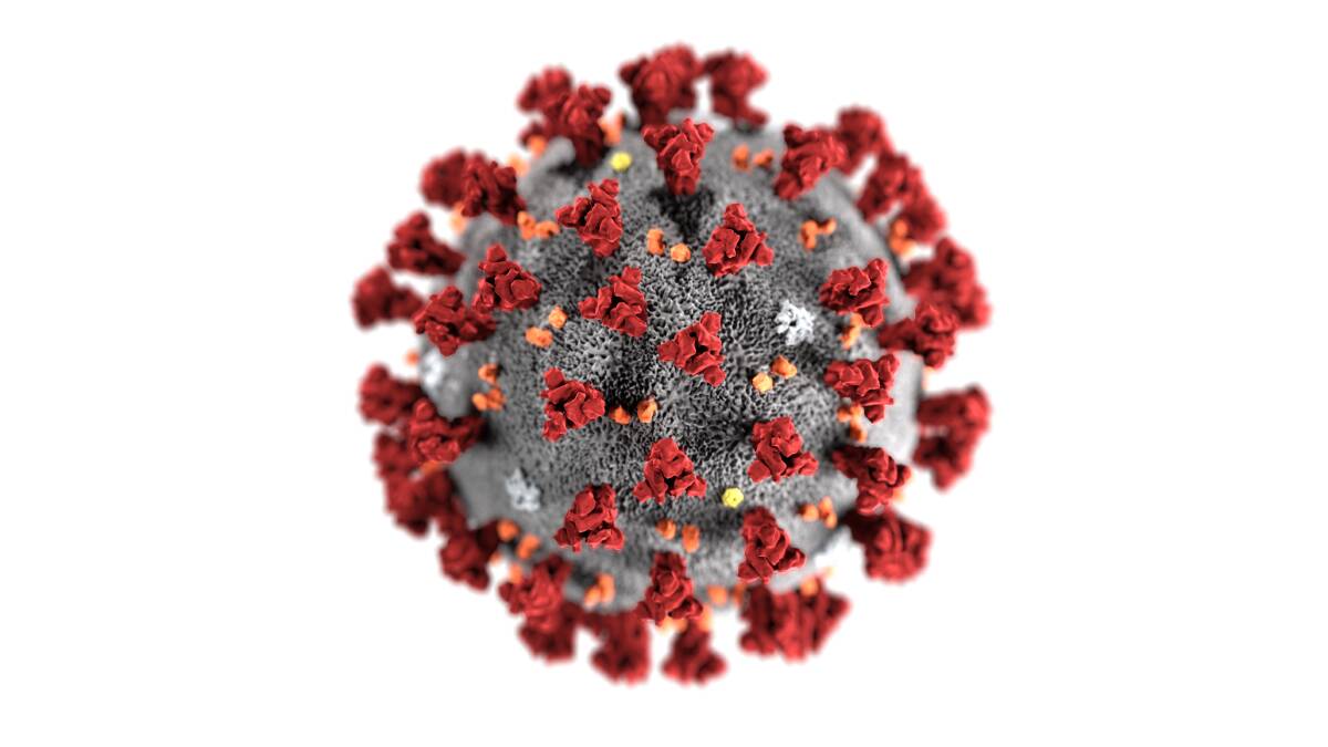 What the coronavirus actually looks like. Picture: Getty