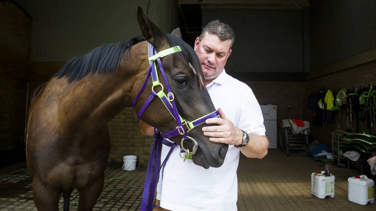 Queanbeyan trainer Joe Cleary has Girls Are Ready in the Federal at Queanbeyan on Thursday. Picture: Dion Georgopoulos