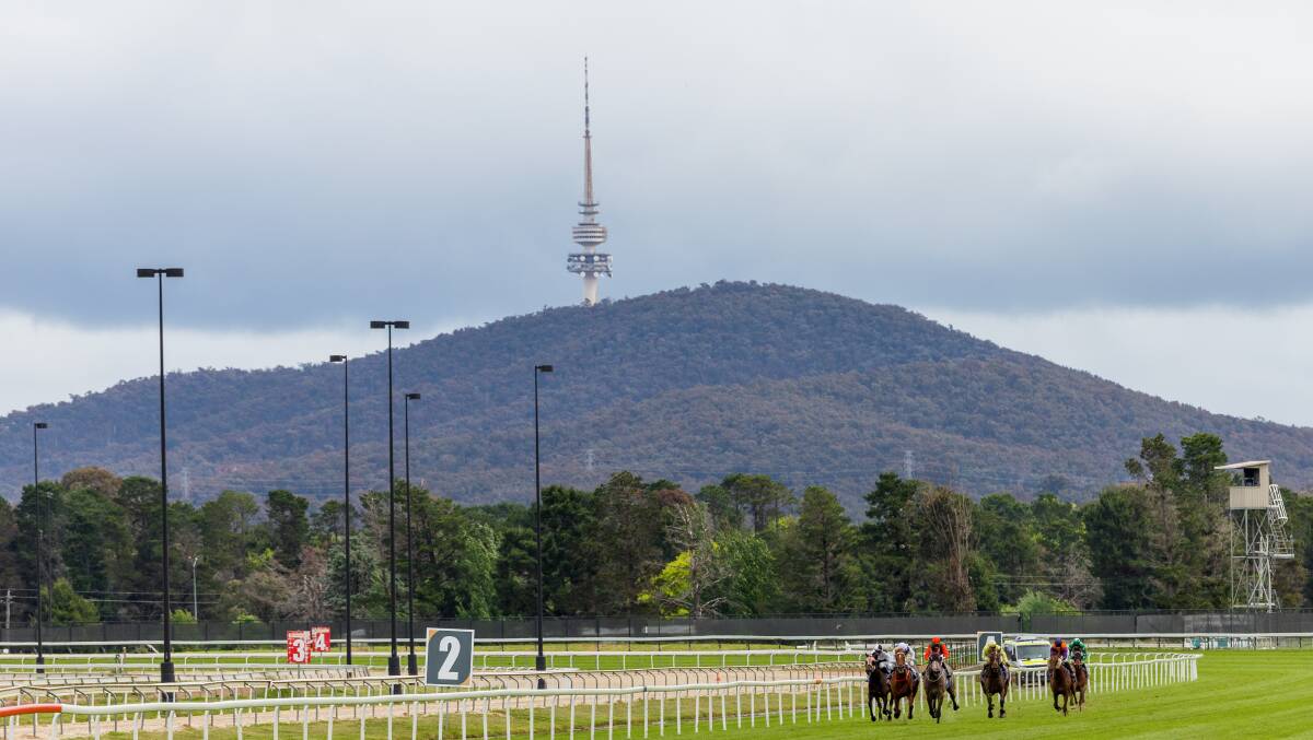 Canberra's Thoroughbred Park could be the location of the Canberra Cannons' home. Picture by Sitthixay Ditthavong