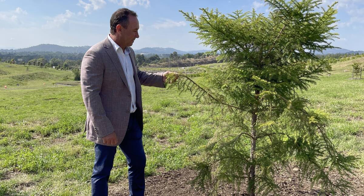 Stuart had a Hoop pine planted in his honour at the National Arboretum, acknowledging his rugby league success and the work of the Ricky Stuart Foundation. Picture: Supplied