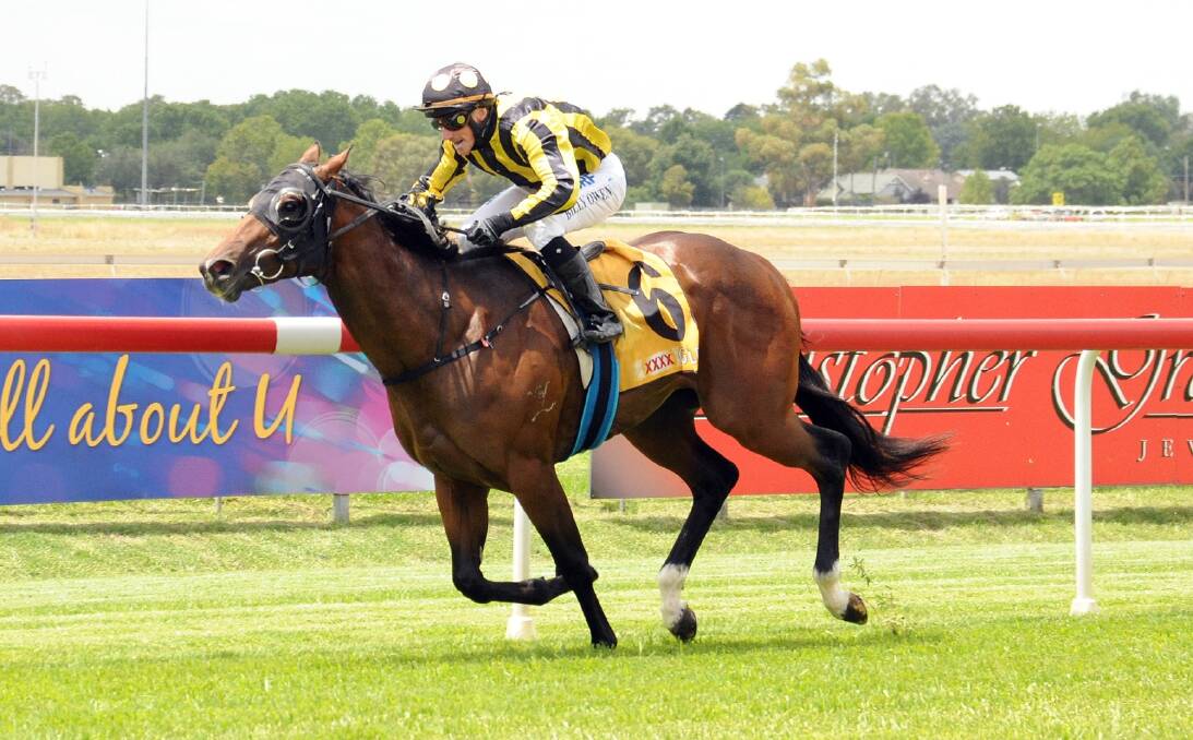 Smart hoped Washington Towers would get the chance to win before Thursday's draw. Picture: Trackpix Racing Photography
