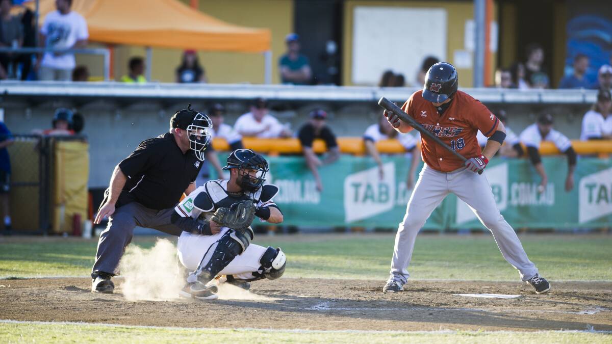 The ABL season is up in the air. Picture: Rohan Thomson